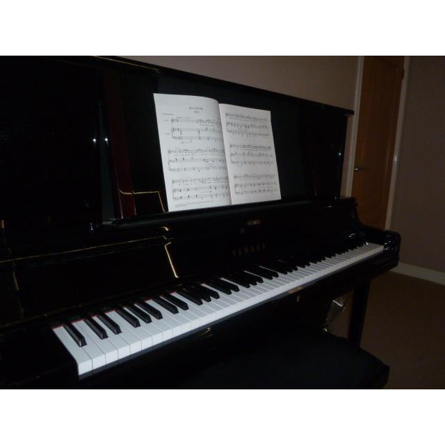 Christine Thomas Singing & Piano Teacher G.Mus PGCE - Bournemouth, Dorset BH10 5BH - 01202 467999 | ShowMeLocal.com