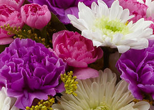 Jewel Box Florist Inc