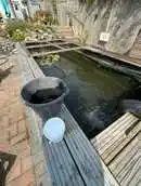 Images SJH Ponds & Aquariums