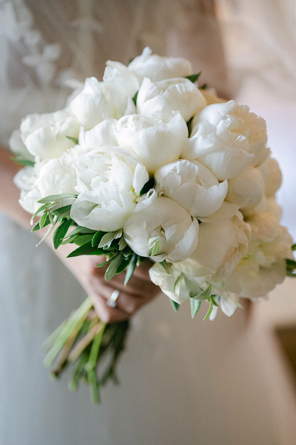 Images Bancells Floristes
