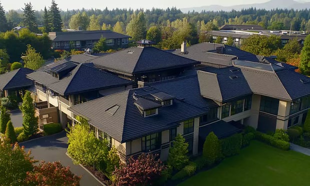 Images Buena Vista Roofing & Construction Inc.