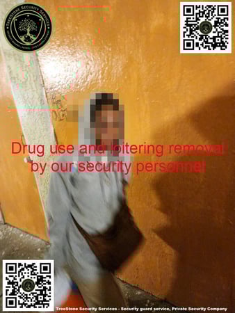 Images TreeStone Security Services