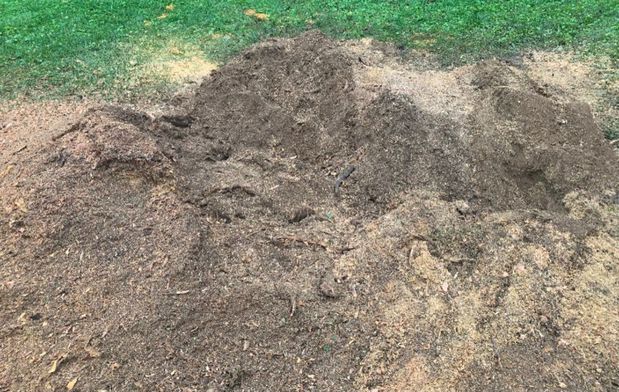 Images Prather Landscaping & Tree Service