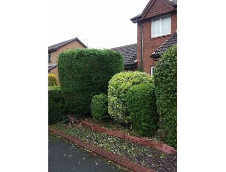 Fix Up Handyman & Gardening Services Ellesmere Port 07471 342736