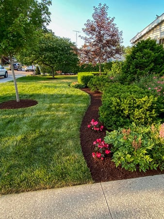 Images Superior Service Lawn Care