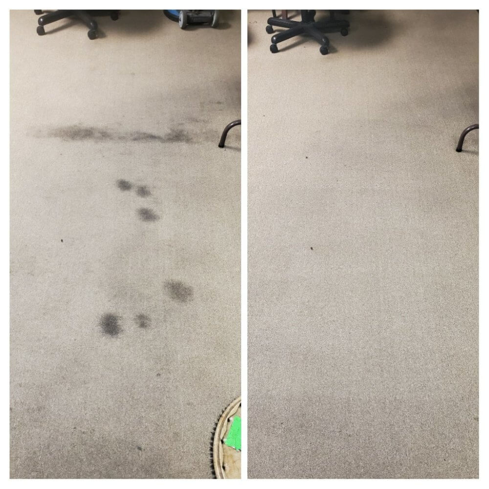 Before and after carpet cleaning in East Los Angeles
