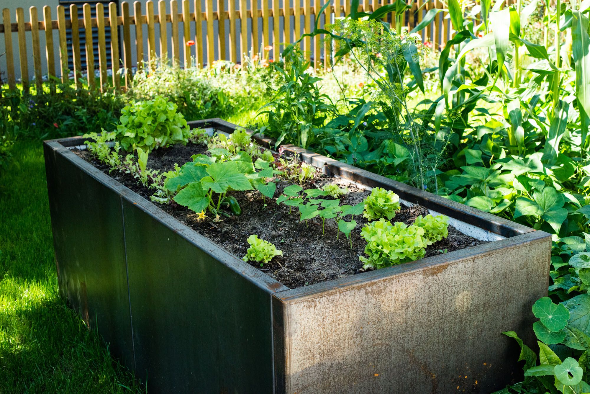 Hänni Gartenbau AG, Riedhubel 3 in Forst b. Längenbühl