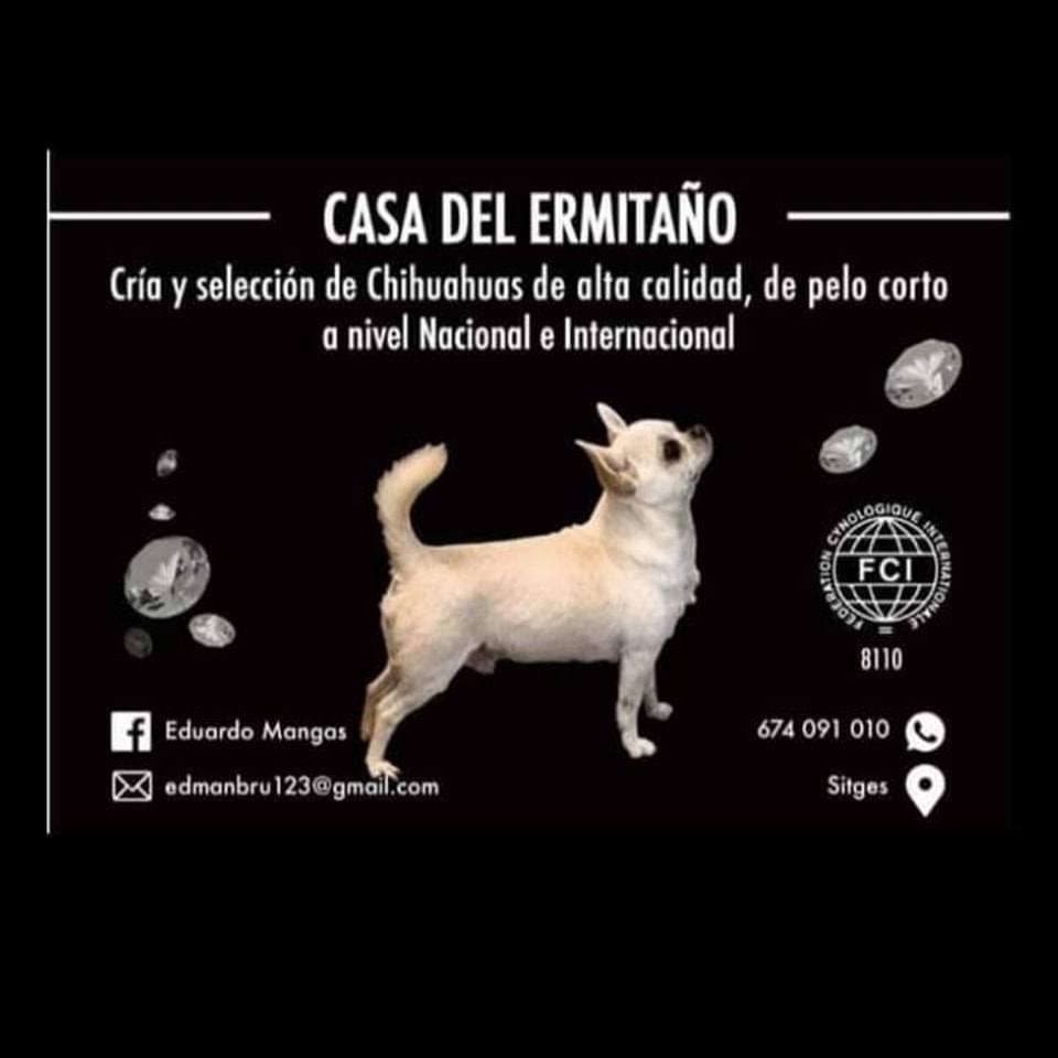 Criadero Casa del Ermitaño, Adiestramiento & Psicología Canina Logo