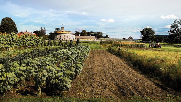 Images Holiday Inn Express & Suites Pittsfield-Lenox-Berkshires by IHG