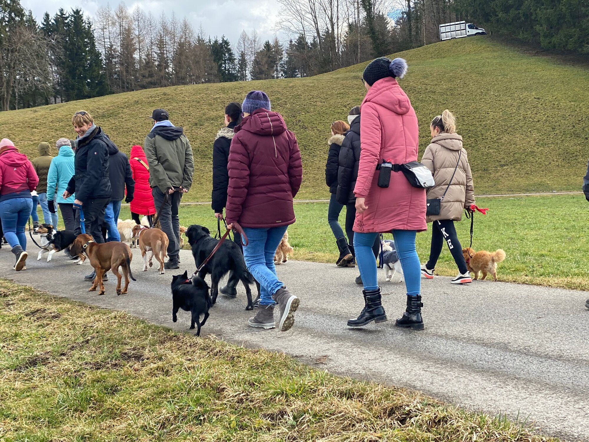 Bilder A-Z-Hundetraining