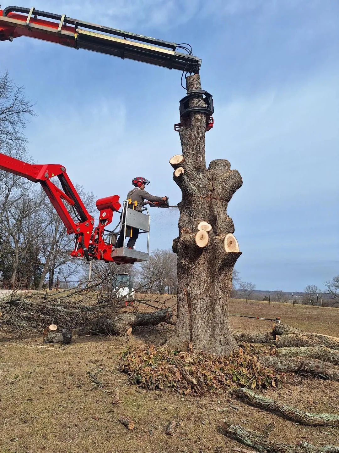 Casey's Tree Service LLC Image