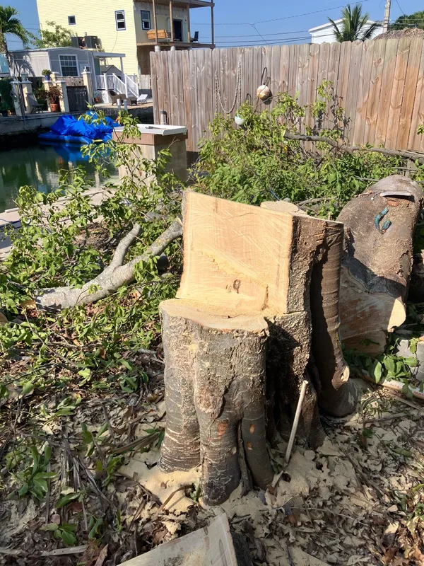 Manifested Concepts, LLC Image