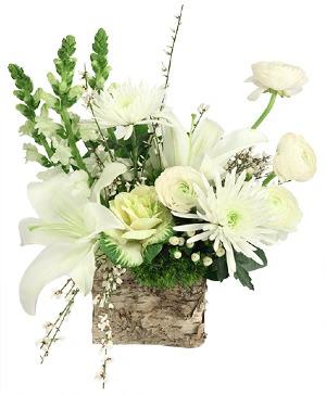 Images White Orchid Floral