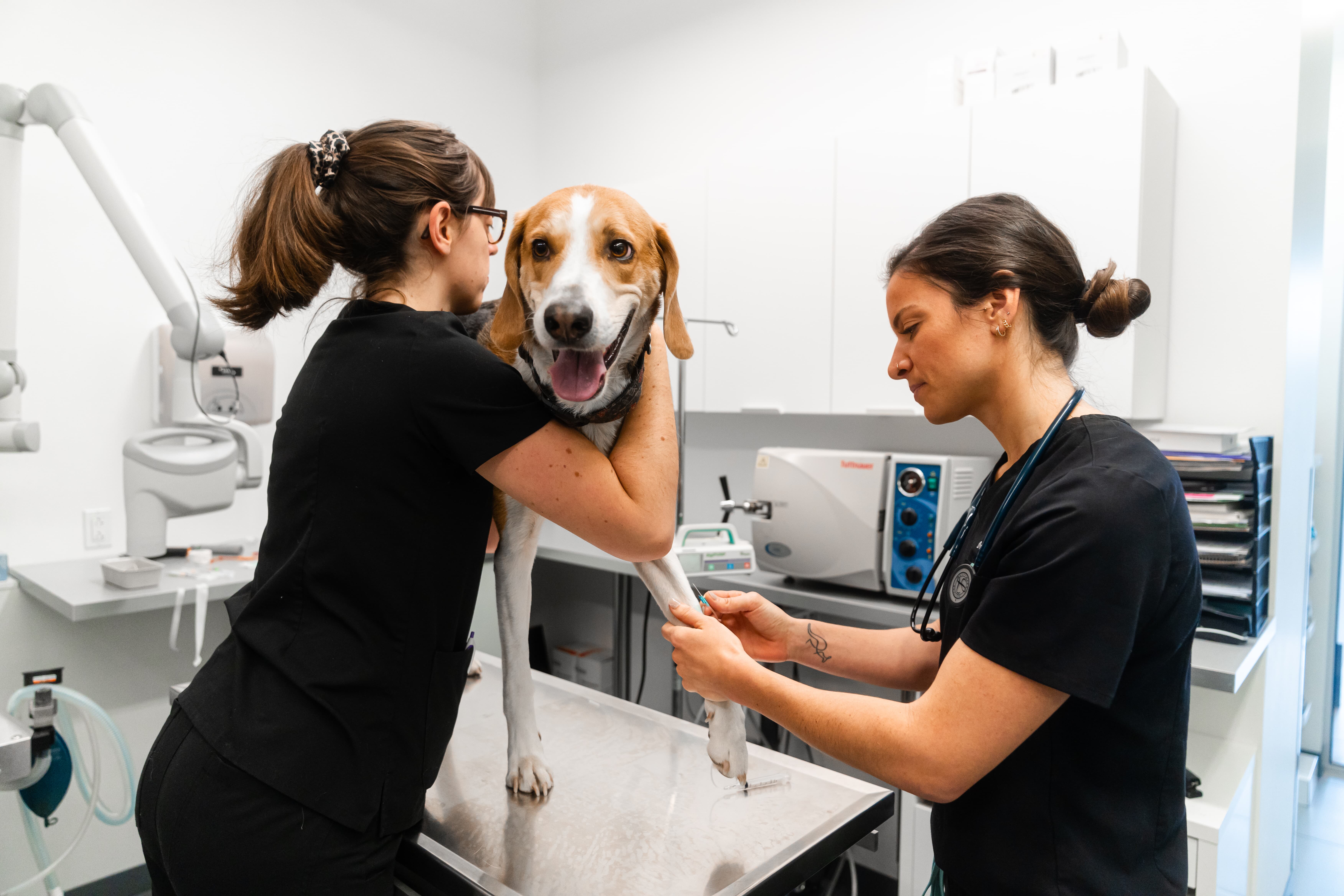 Images Clinique Vétérinaire Quartier Dix30