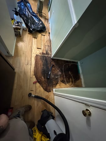 Images Voda Cleaning & Restoration