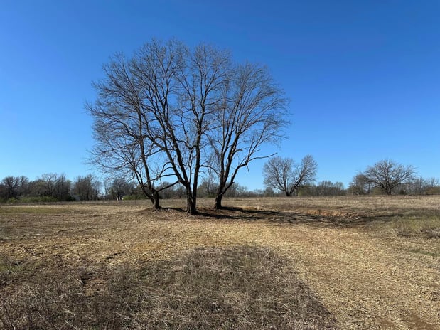 Images RED'S Forestry Mulching