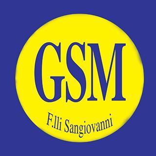 Gruppo Gsm F.lli Sangiovanni Logo