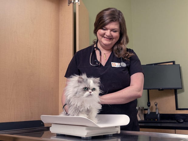 Images Banfield Pet Hospital