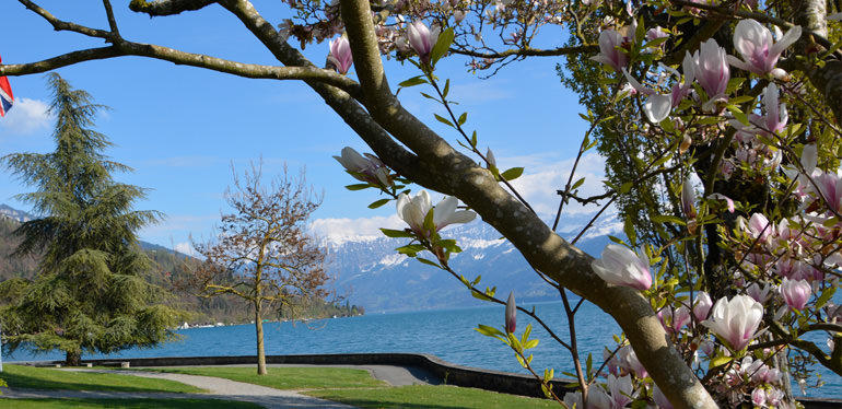 Nyffenegger Gartenbau, Laueli 4 in Oberhofen
