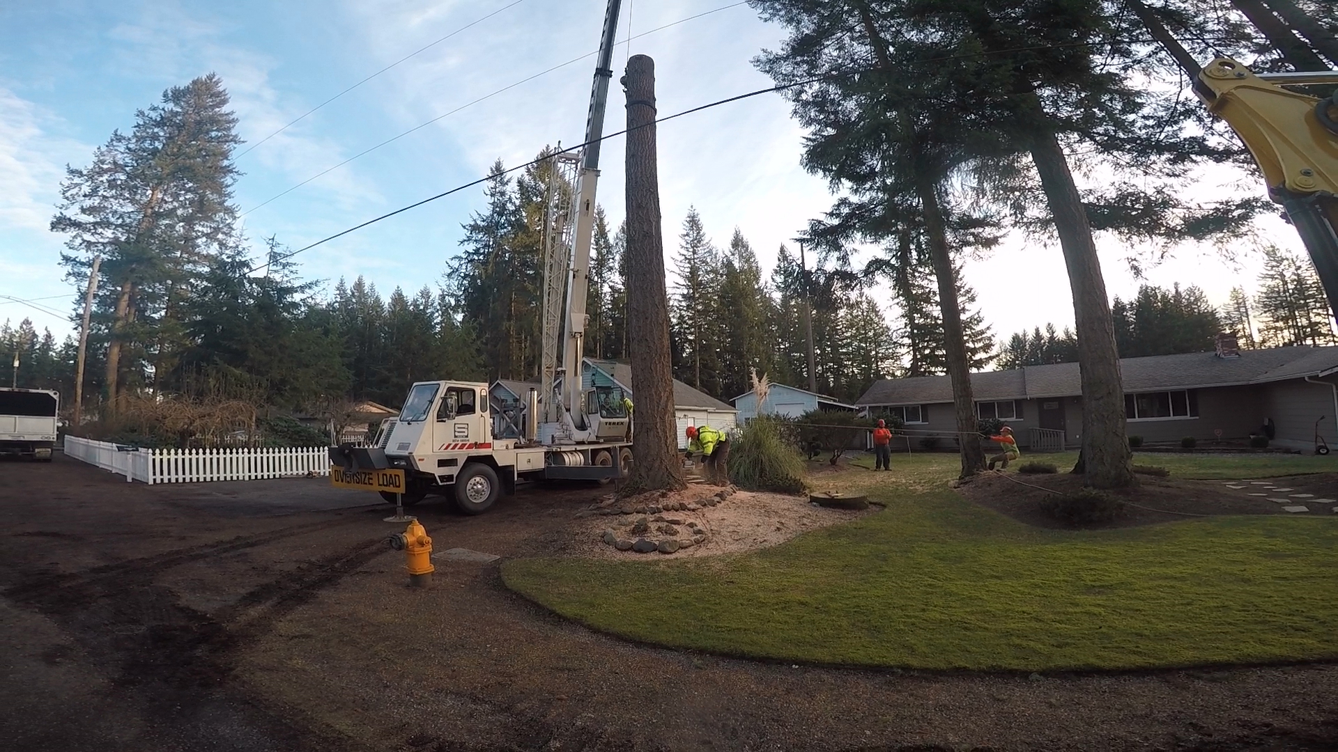 Haskins Tree Care