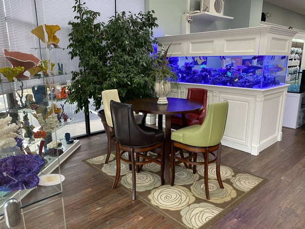 Images Pure Reef