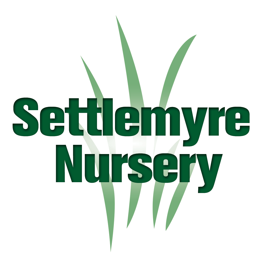 Settlemyre Nursery