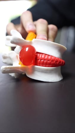 Images ChiroFitness Centers