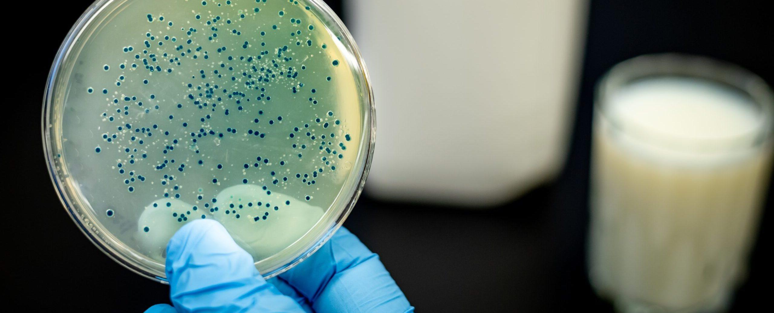 Hauschke + Leusder GmbH, Beisenbusch 9-11 in Nottuln