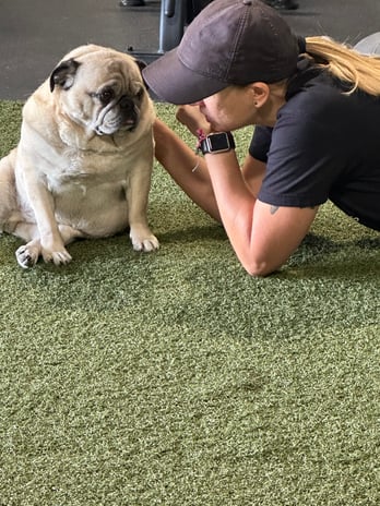 Images Nimbus Athletics