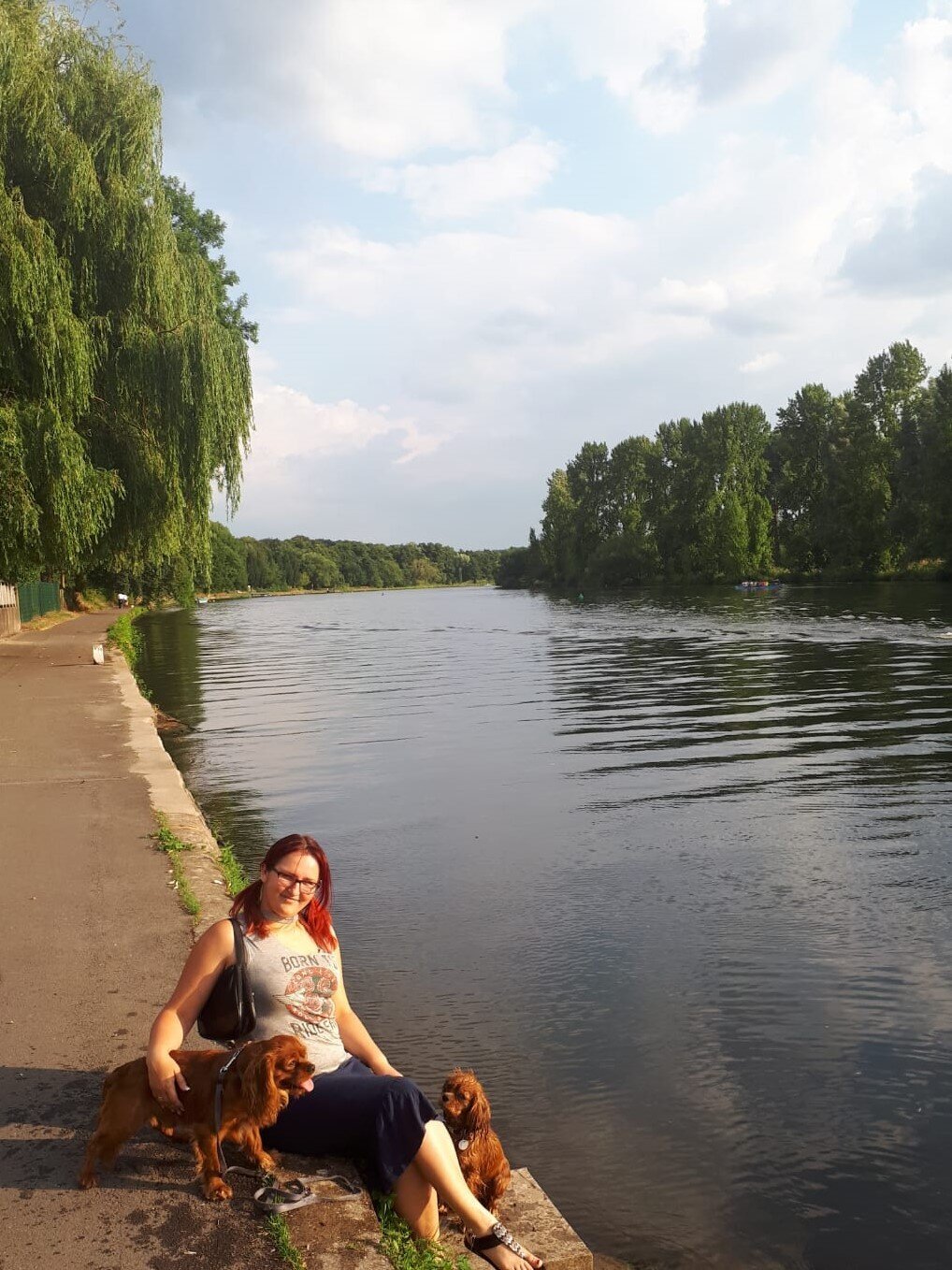 Bilder Hundezentrum Lapki