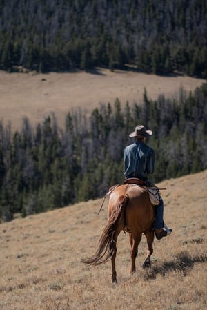 Images CM Ranch