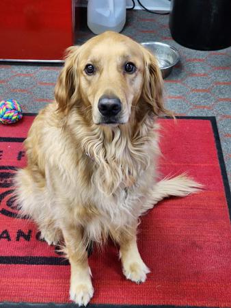 Images Kit Swenby - State Farm Insurance Agent