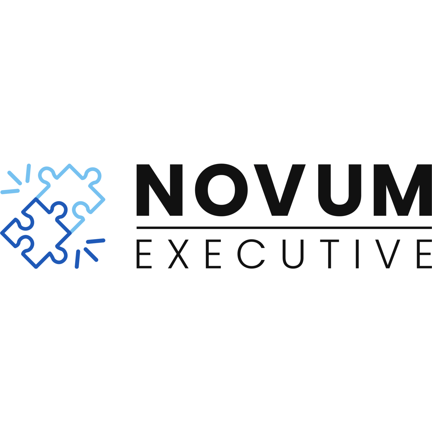 Novum Executive AB Logo