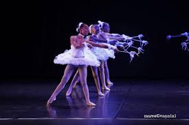 Images Scuola di Danza New Grafic Ballet  (Presso Centro Commerciale Valmarecchia)