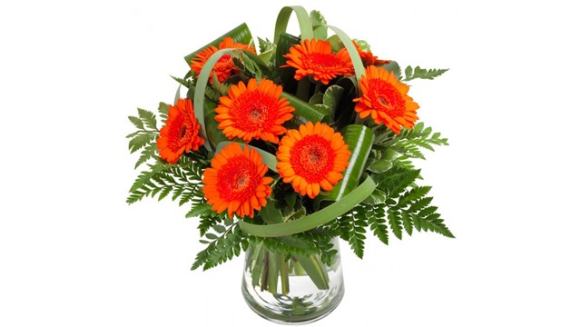 Images Eka Blommor AB - Blommor Lund