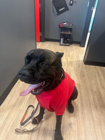 Images Gameday Men's Health Tustin TRT, Peptide, and ED Clinic