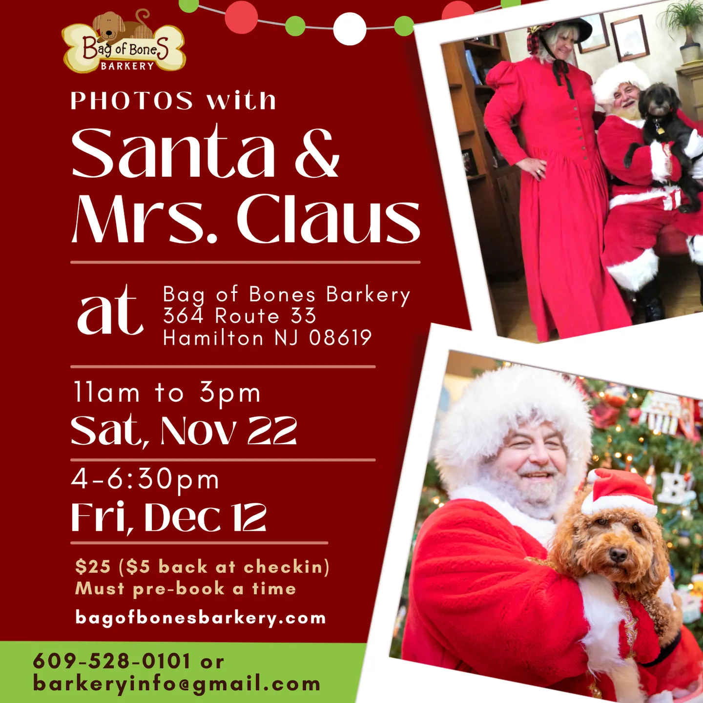 Image of Local Pet Event Photos with Santa Nearby