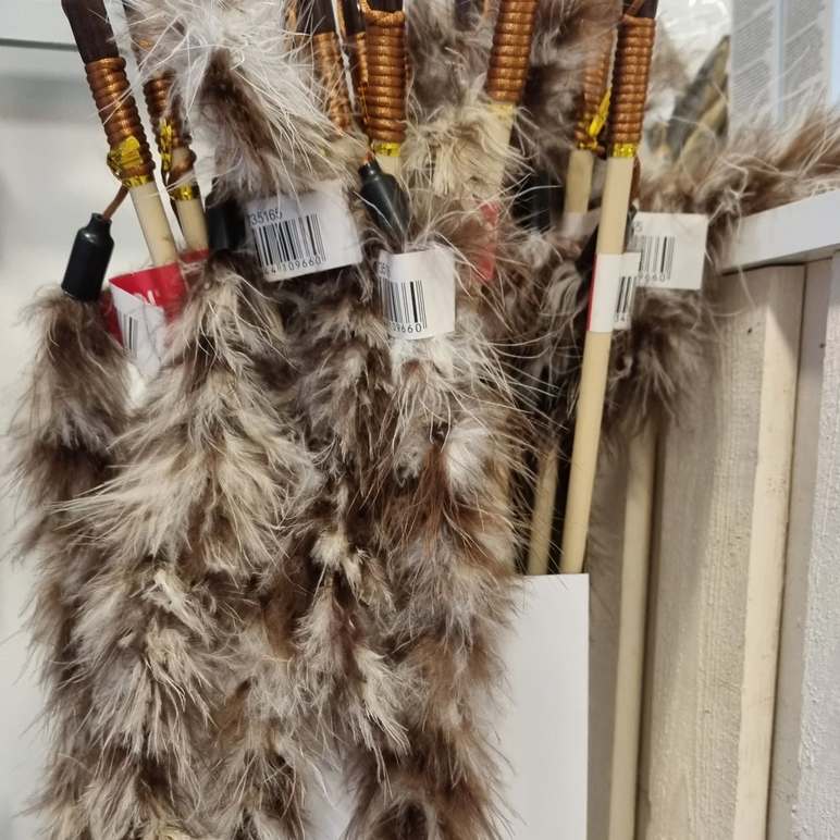 Images Lillys Tassar