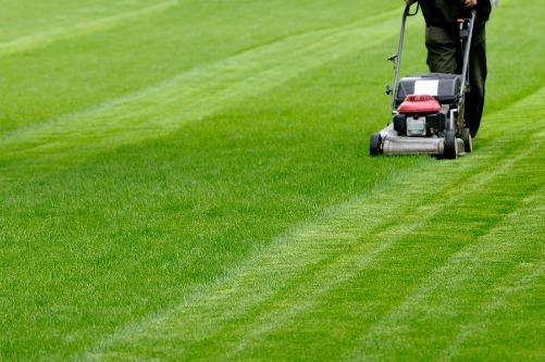 Westminster Lawn Care Services