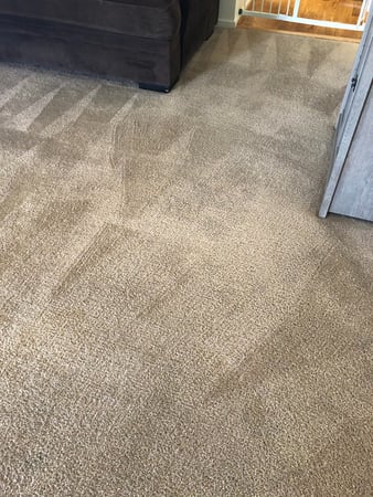 Images Carpet Pro Carpet Cleaning & Dyeing