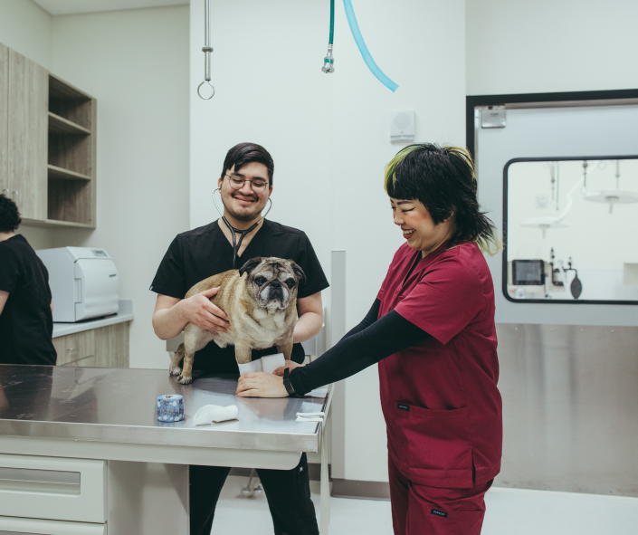 Images Pure Paws Veterinary Care of Hudson Square
