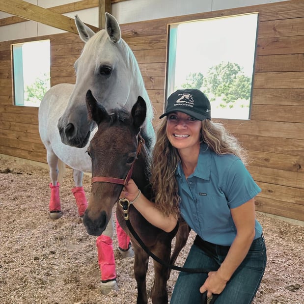 Images FULL CIRCLE EQUINE VETERINARY SERVICES