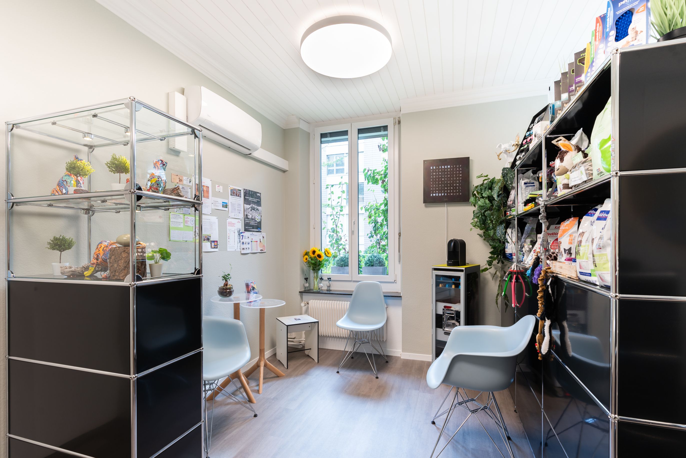 Bilder Kleintierpraxis 54