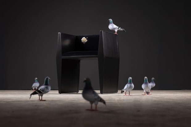 Images SENTIENT Furniture