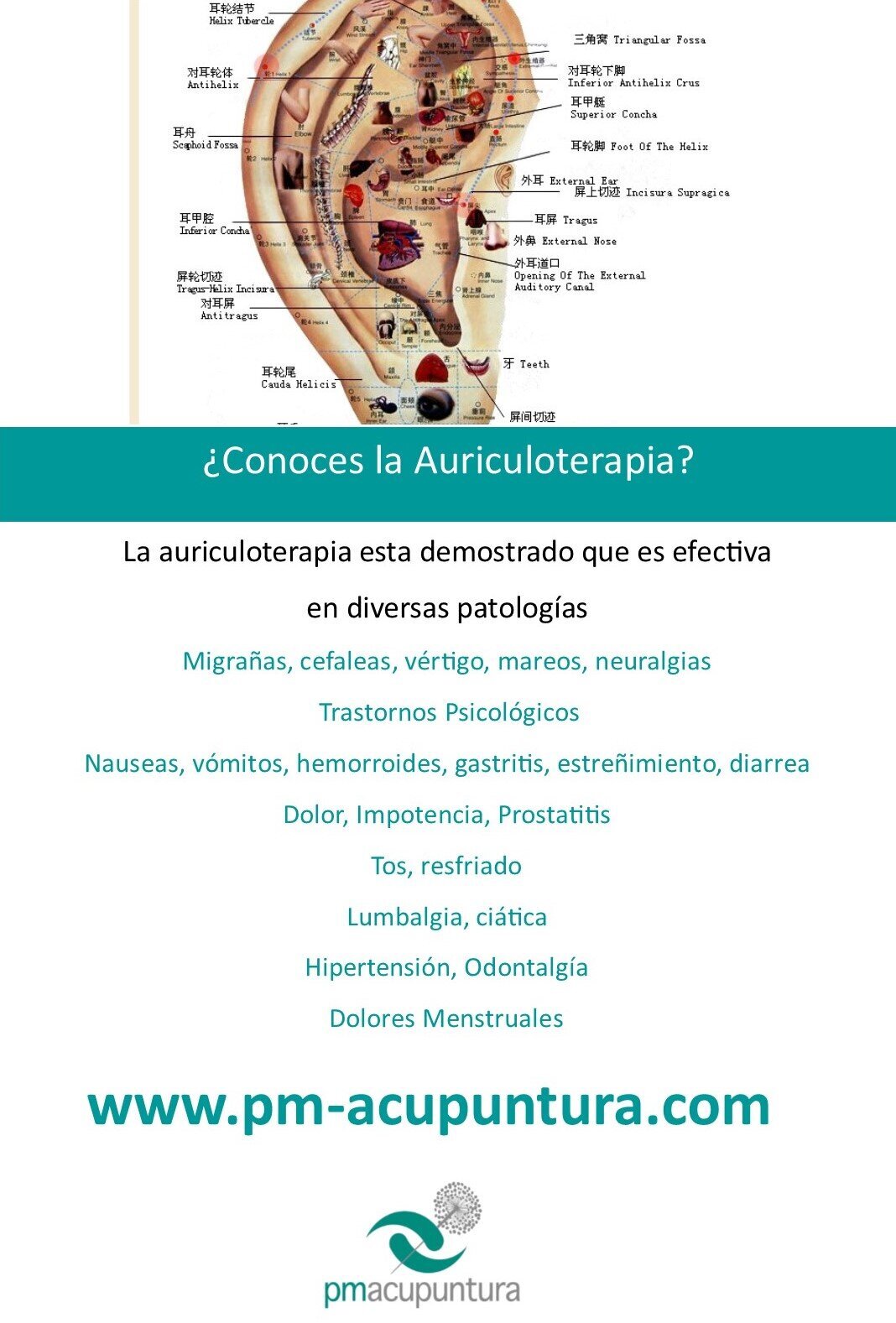 Images pm-acupuntura