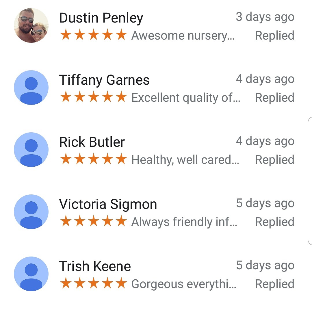 Thank you so much for all your Google Reviews!! Please keep them coming!
#SettlemyreNursery #FamilyOwned #PlantNursery #ValdeseNC