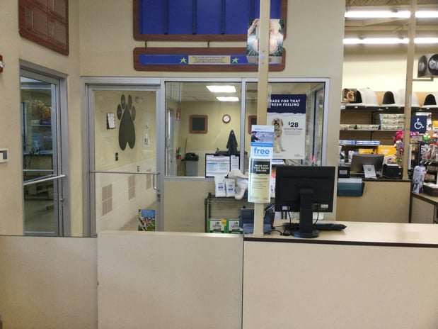 Images Petco Grooming