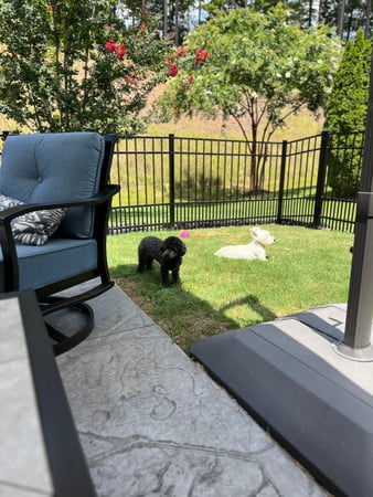 Images B Line Fencing & Services