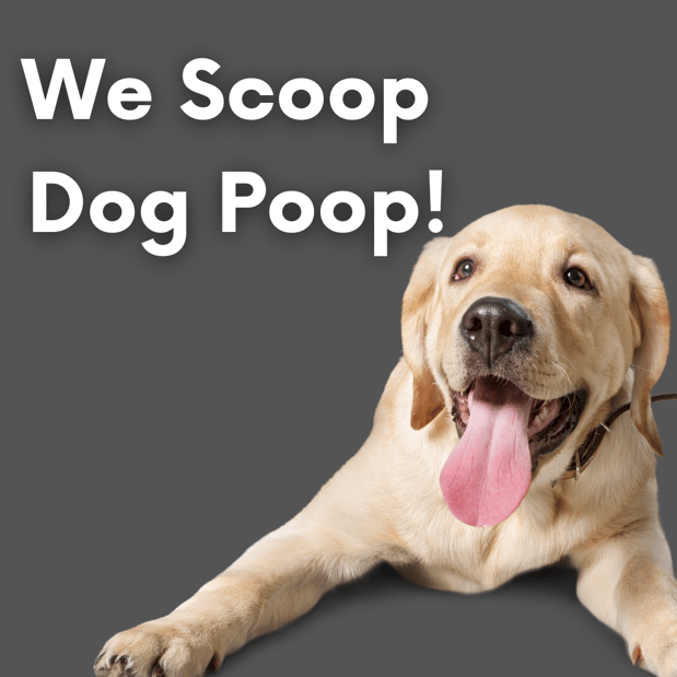 Images Oop Scoop Pet Waste Removal