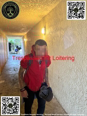 Images TreeStone Security Services